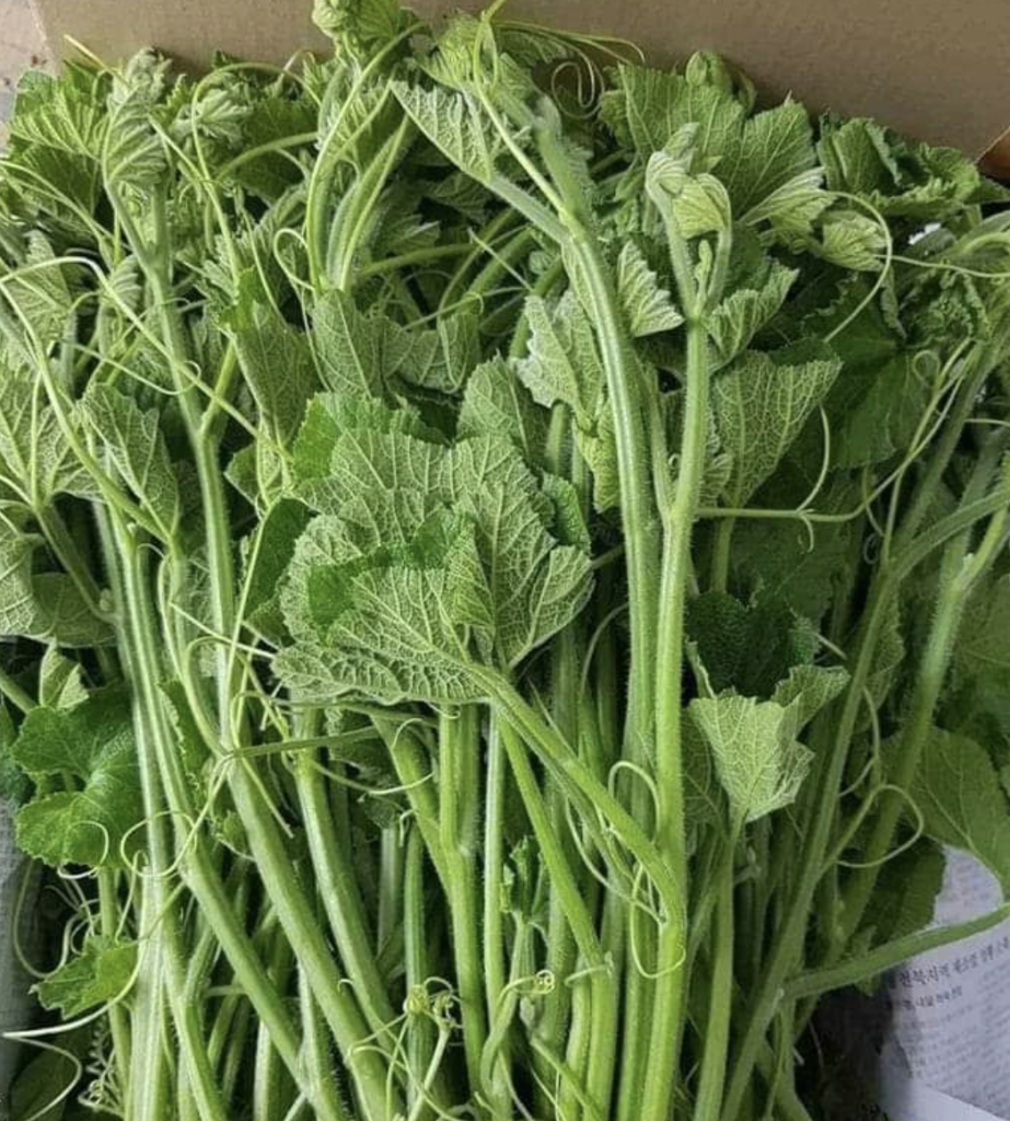 jenis sayur kampung